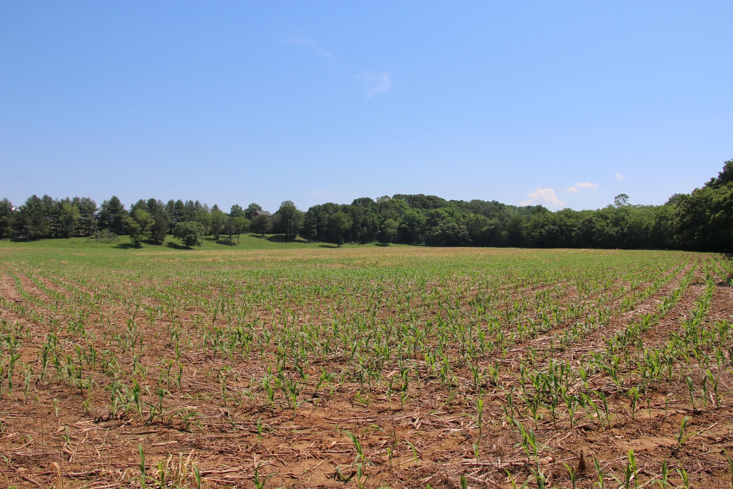 39.4 acres in Rockingham County, Virginia