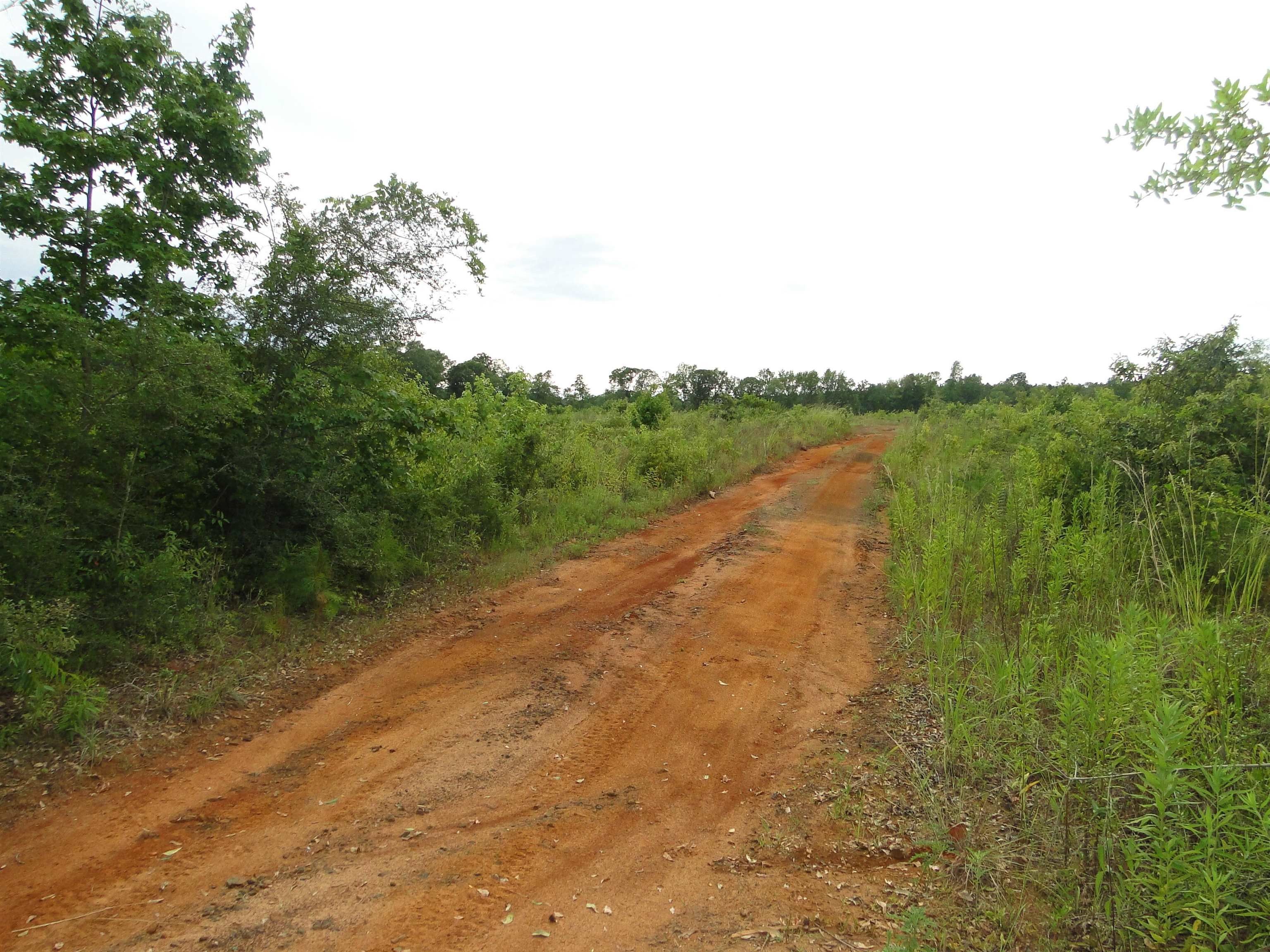 14 acres in Sabine County, Texas