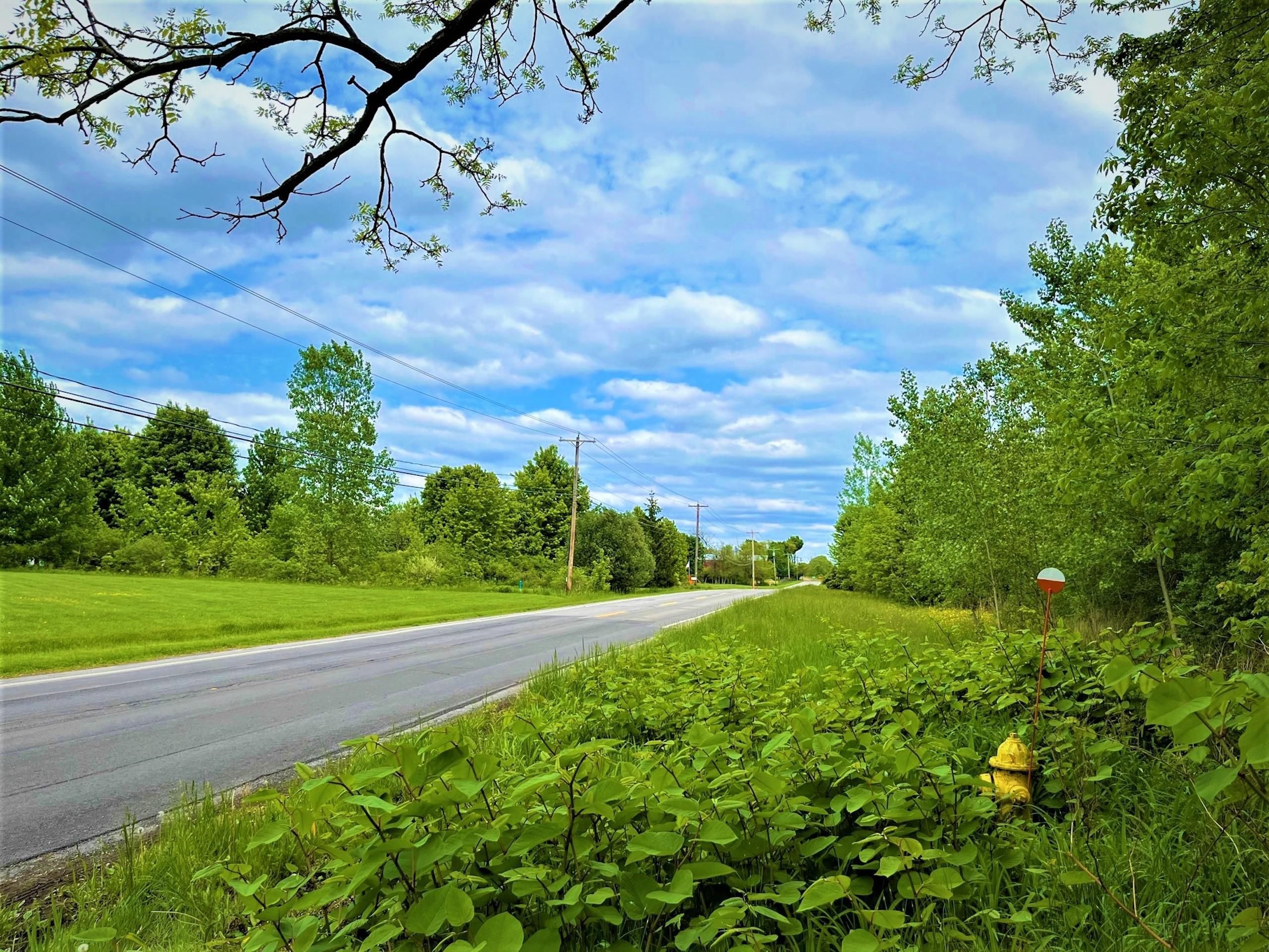 79.5 acres in Erie County, New York