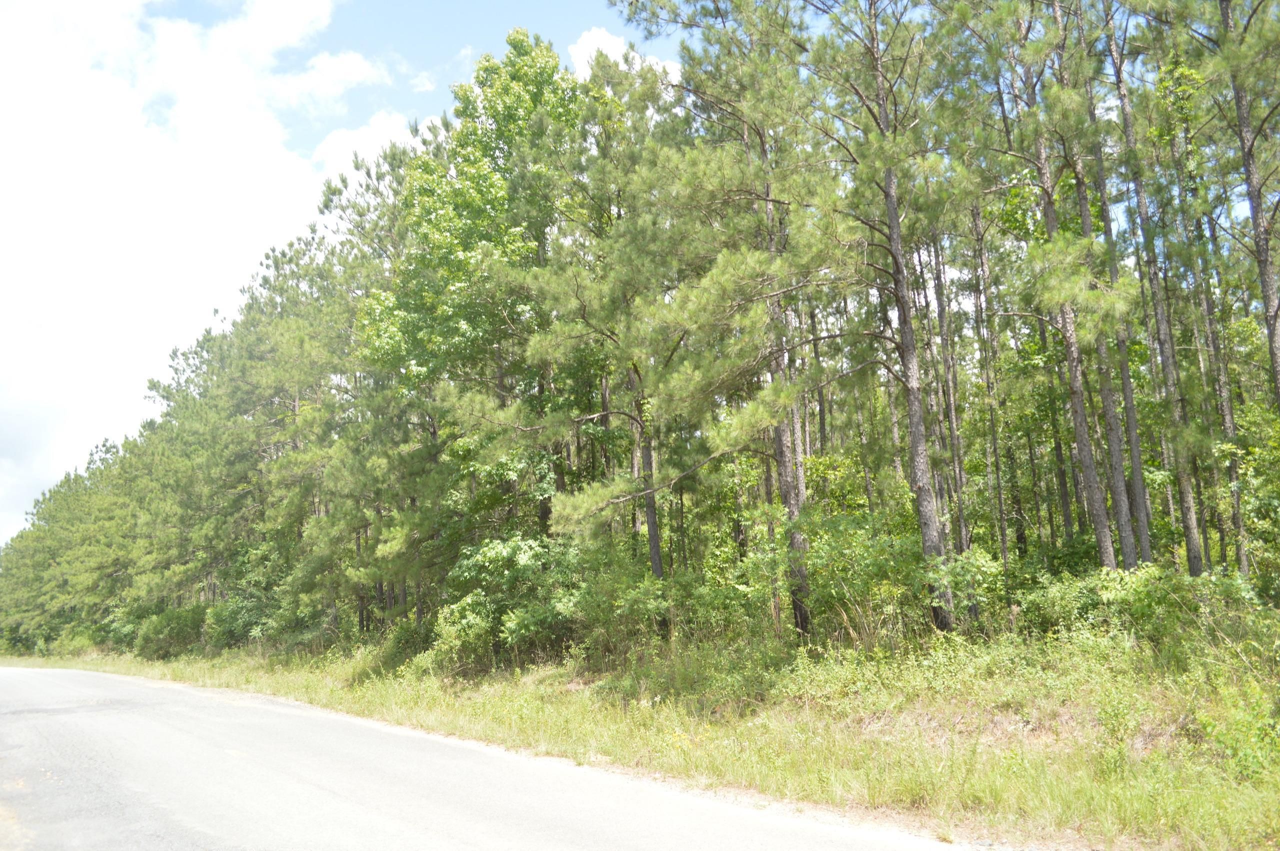 42 acres in Vernon Parish, Louisiana