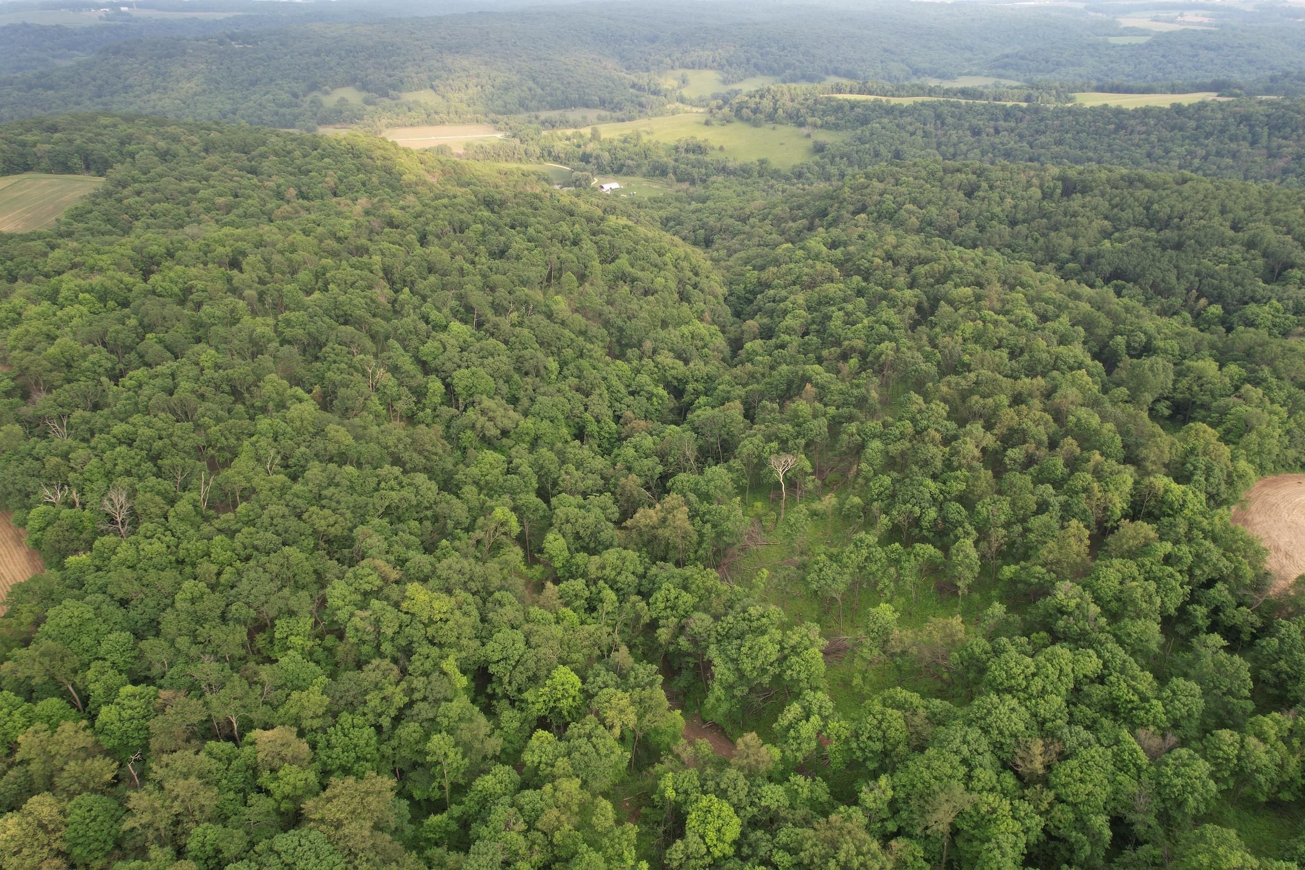 120 acres in Clayton County, Iowa