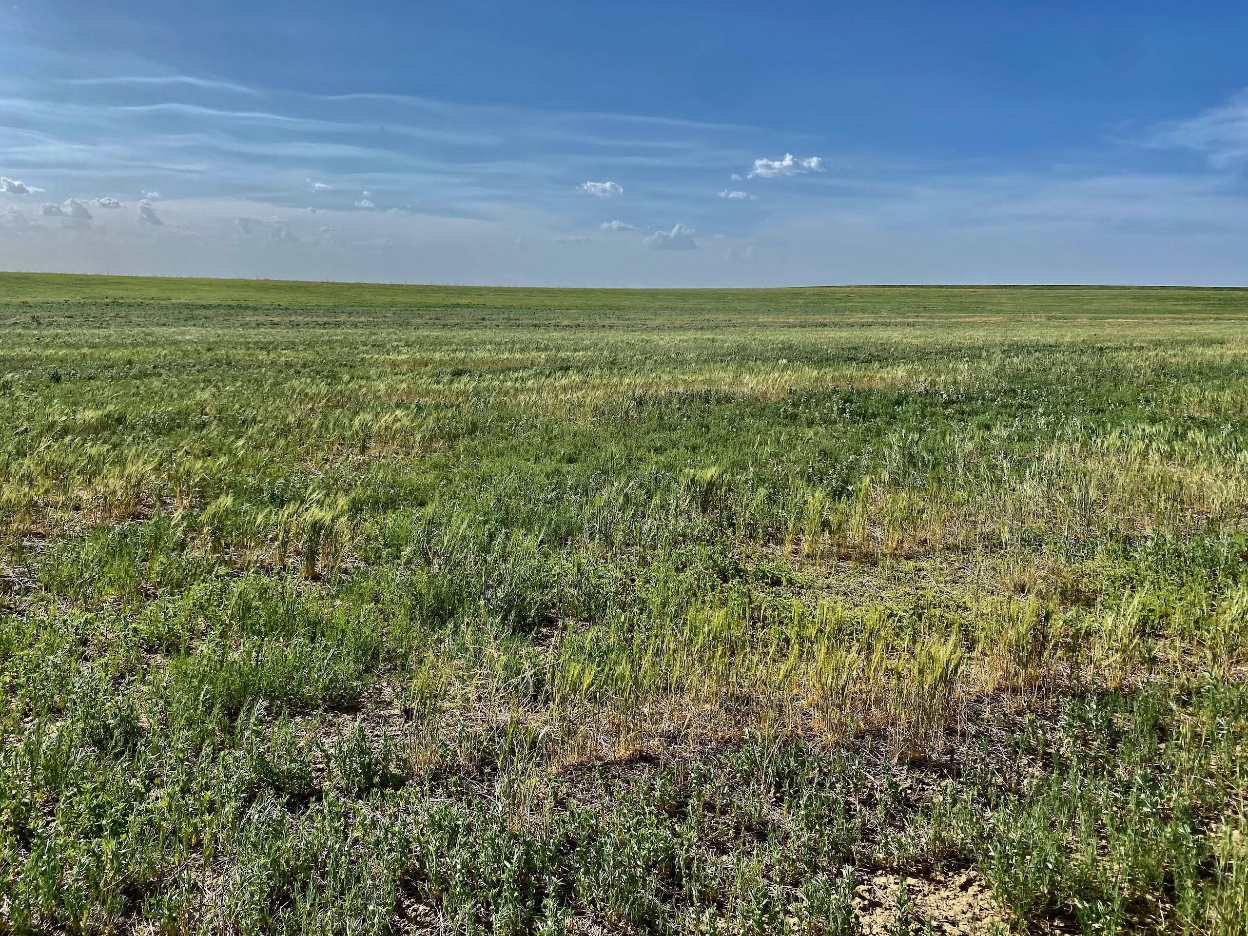 160 acres in Washington County, Colorado