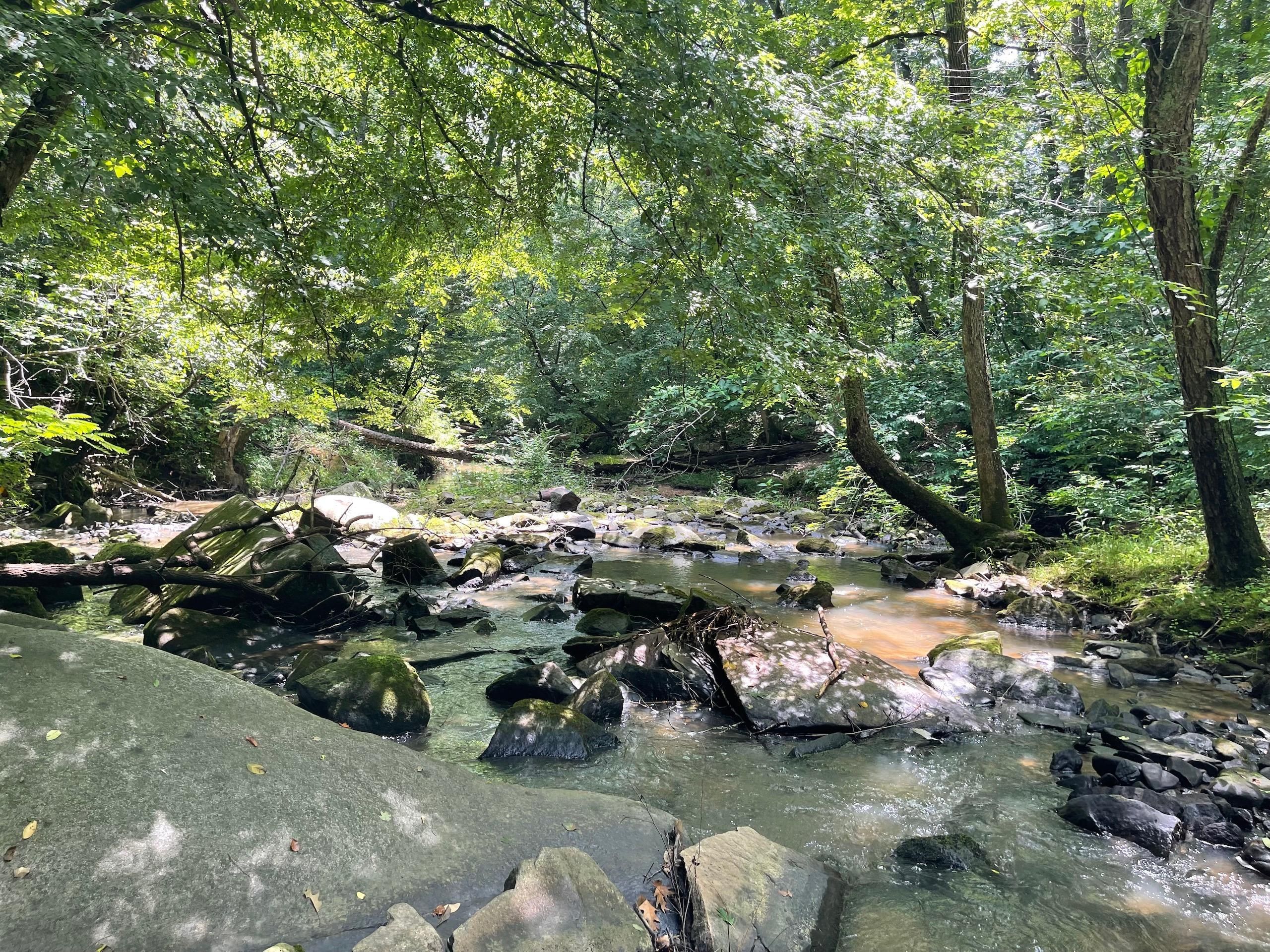 19.7 acres in Gaston County, North Carolina