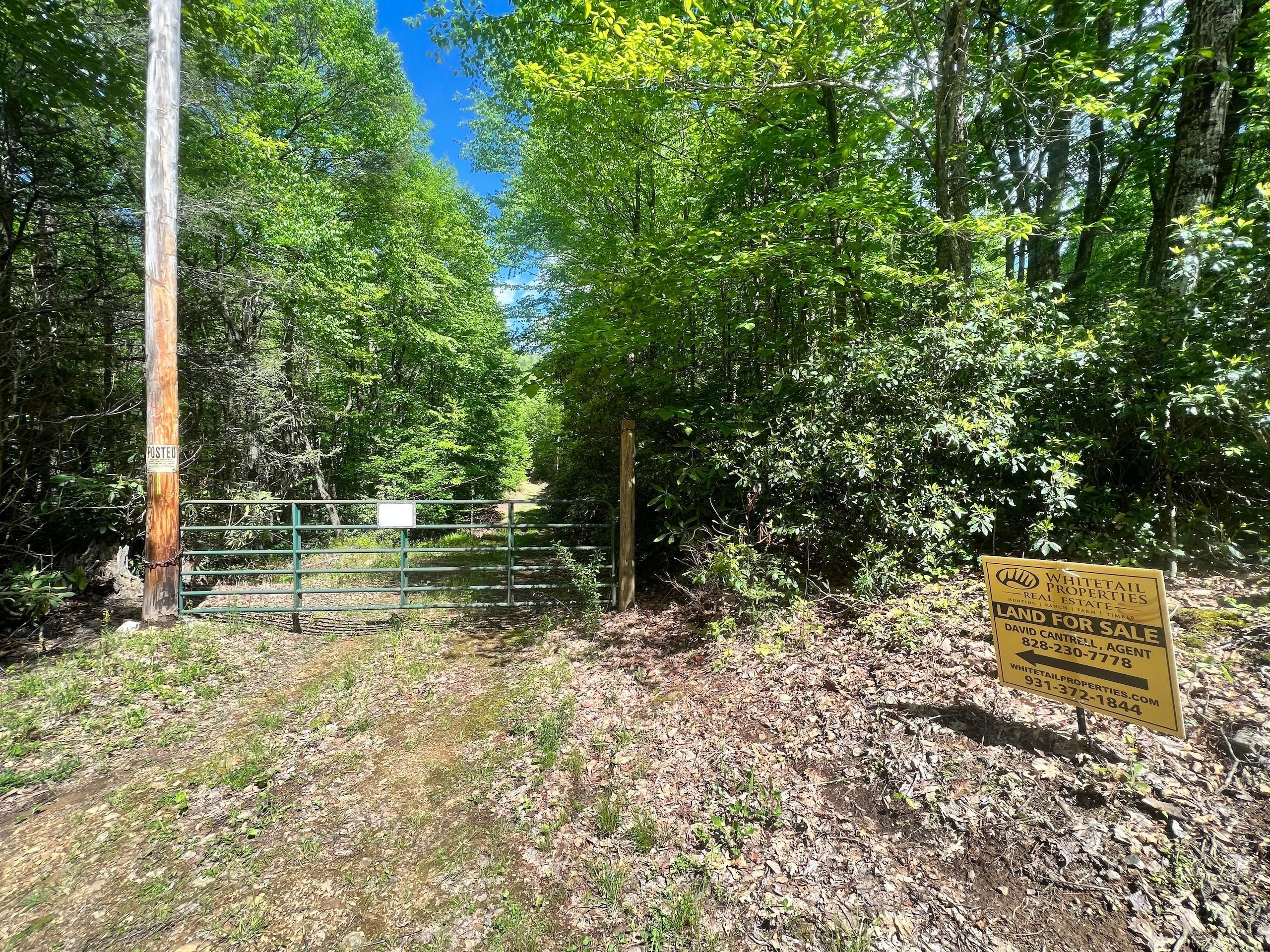 279.5 acres in Johnson County, Tennessee