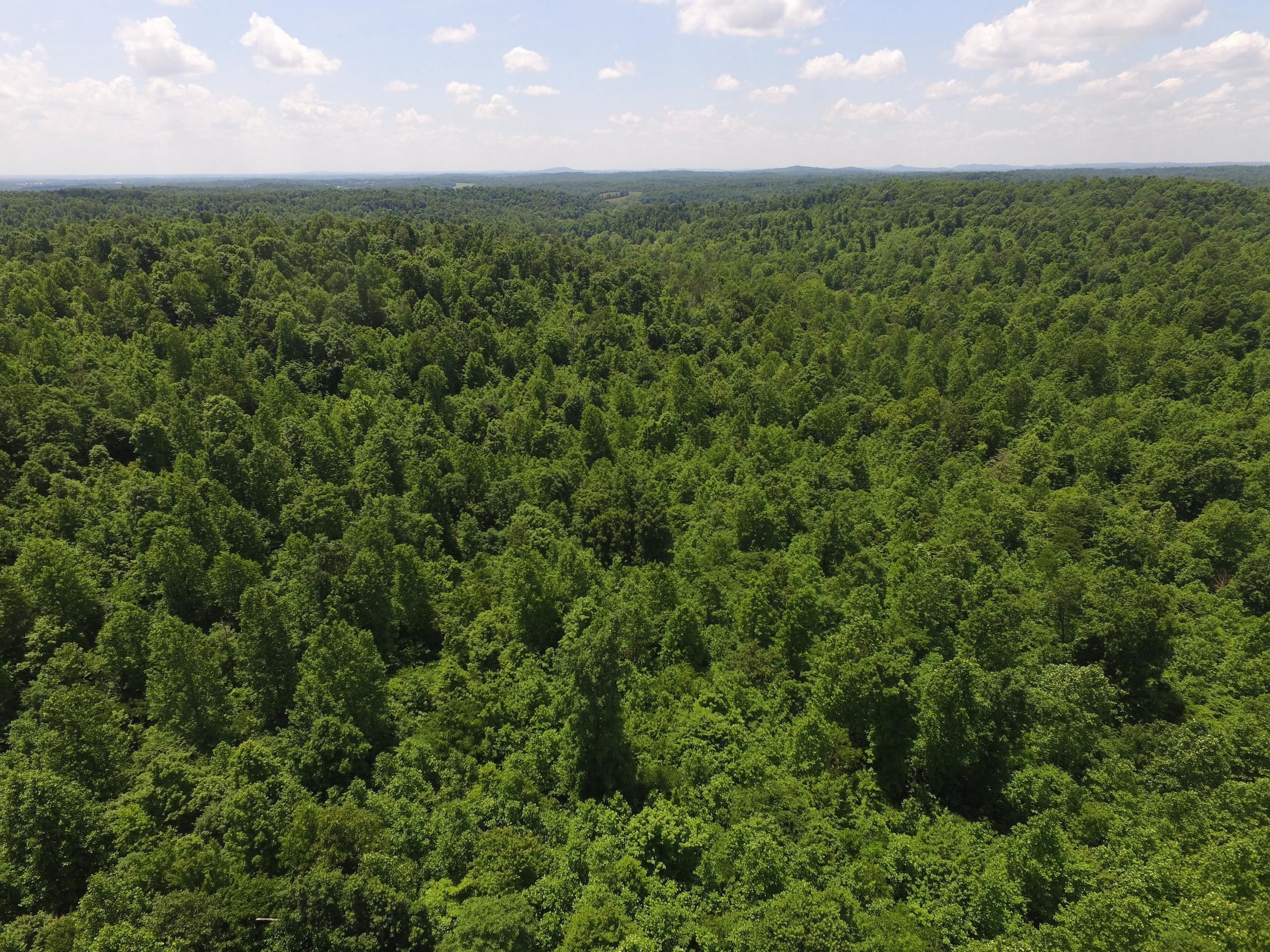 45 acres in Green County, Kentucky