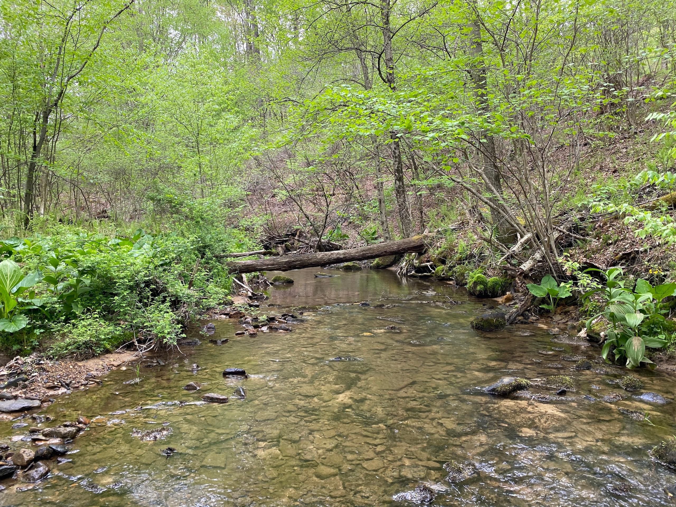 158 acres in Venango County, Pennsylvania