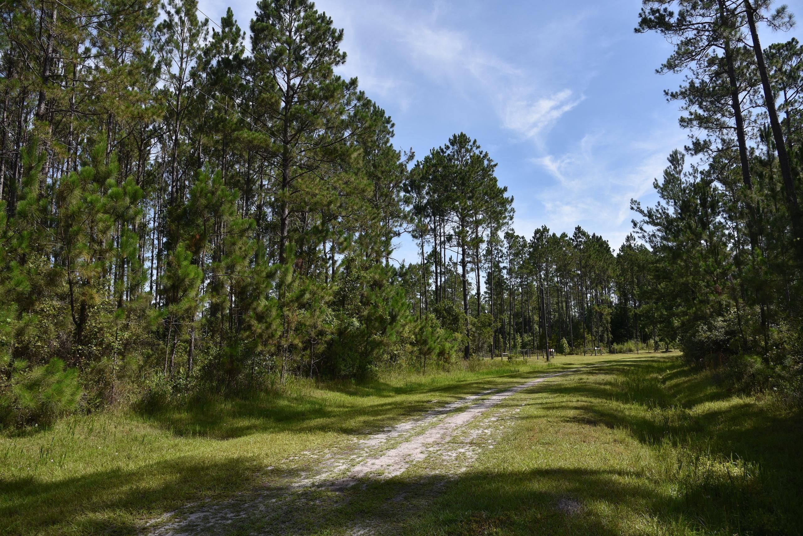 40 acres in Madison County, Florida