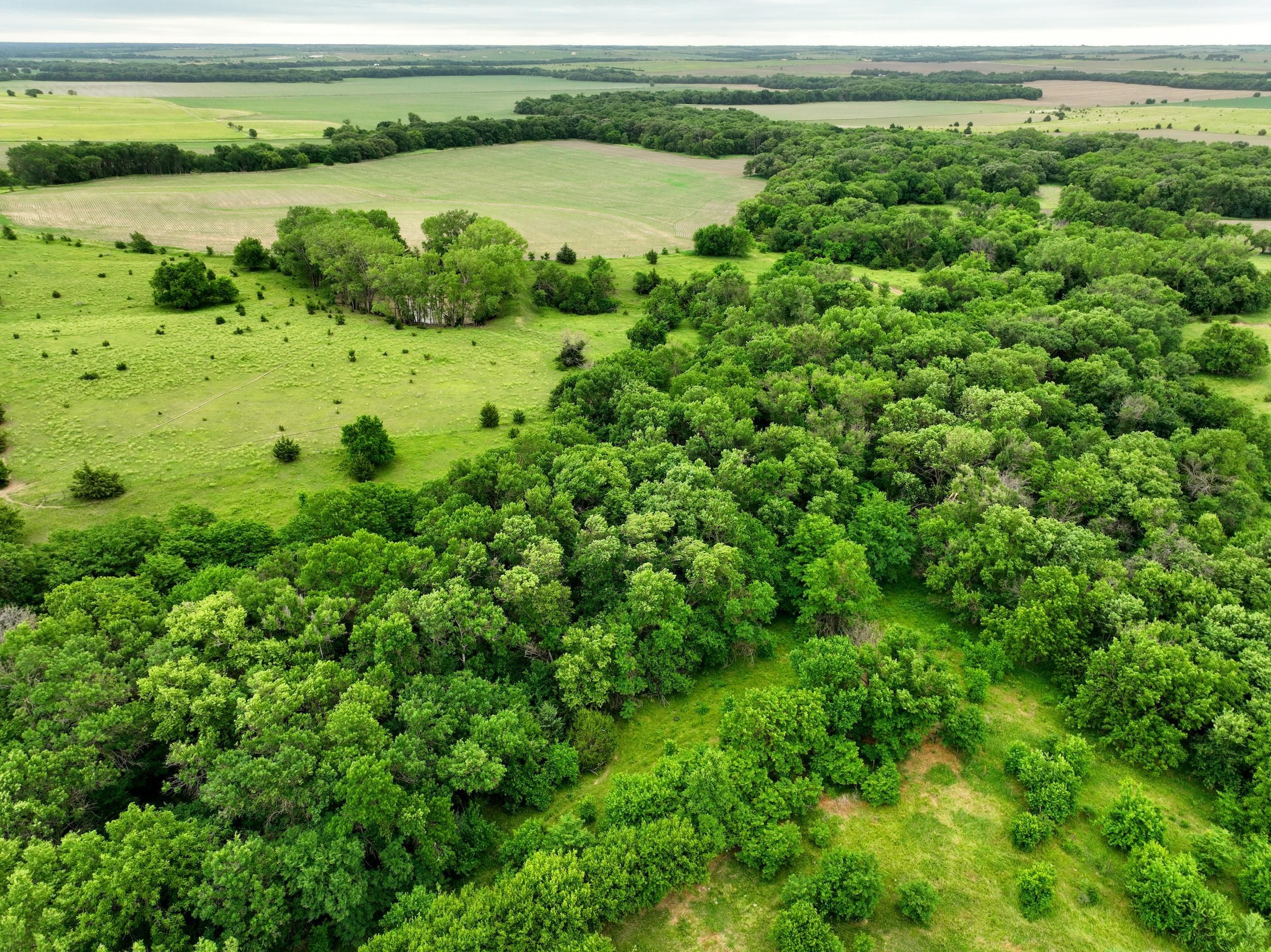 240 acres in Jewell County, Kansas
