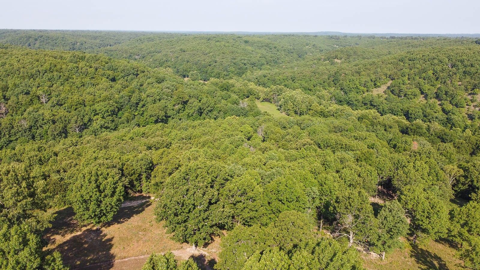 120 acres in Dallas County, Missouri