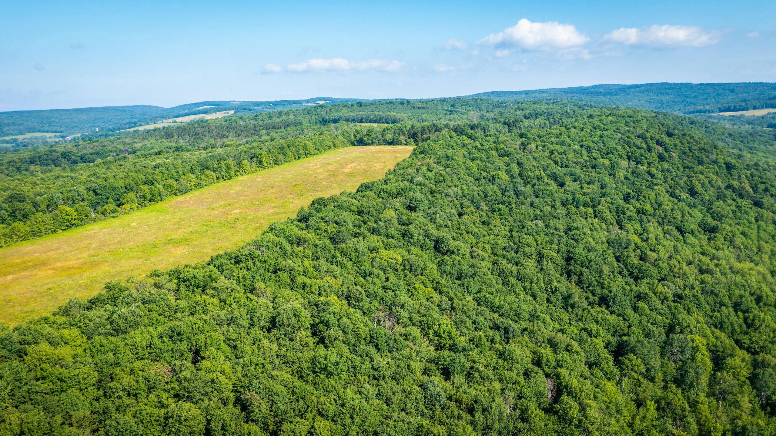 40 acres in Tompkins County, New York