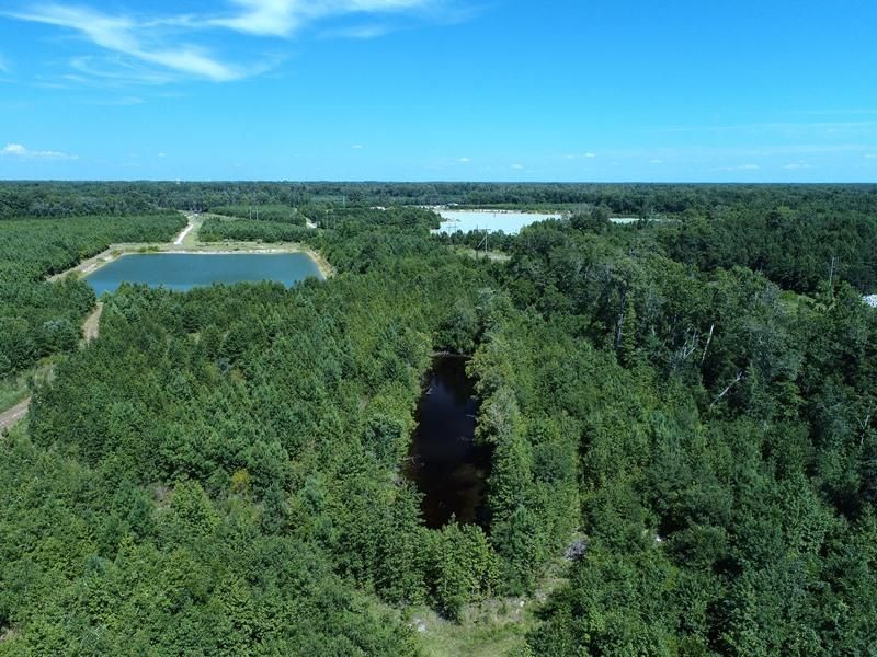 125 acres in Robeson County, North Carolina