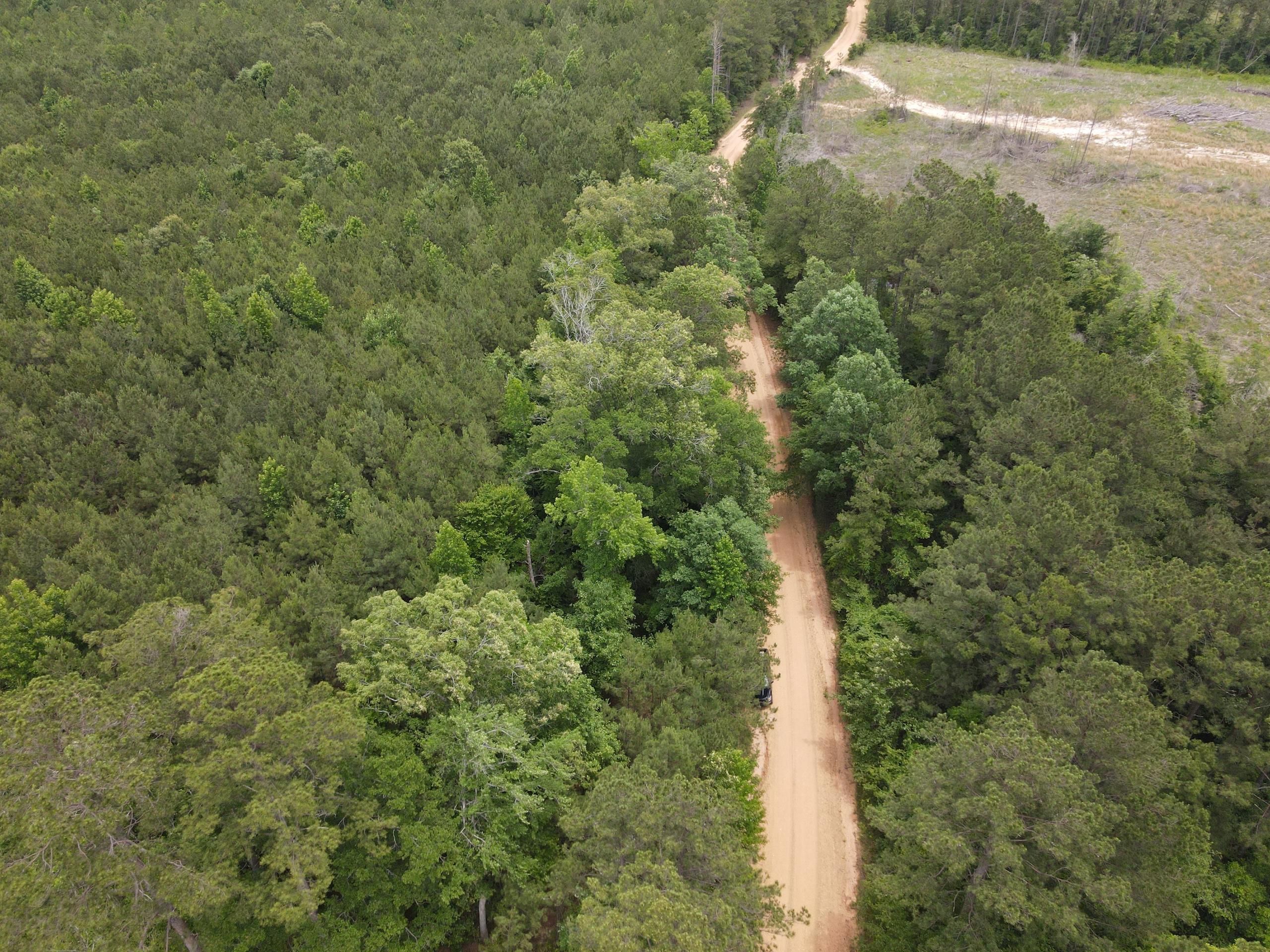 37 acres in Columbia County, Arkansas