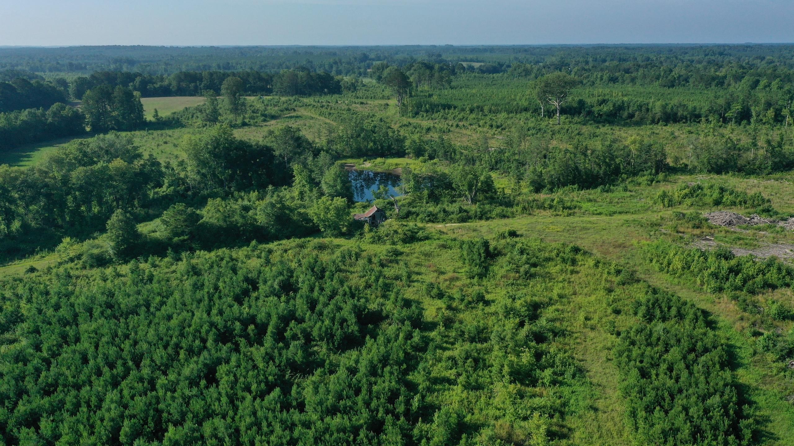 88.16 acres in Halifax County, North Carolina