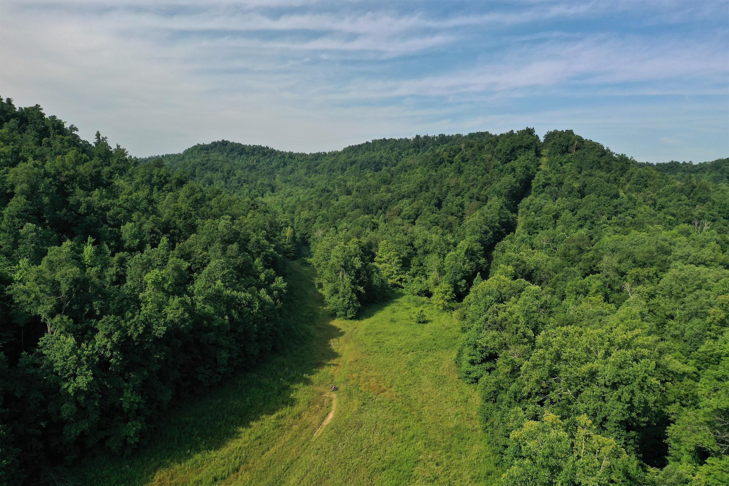 85.3 acres in Montgomery County, Kentucky