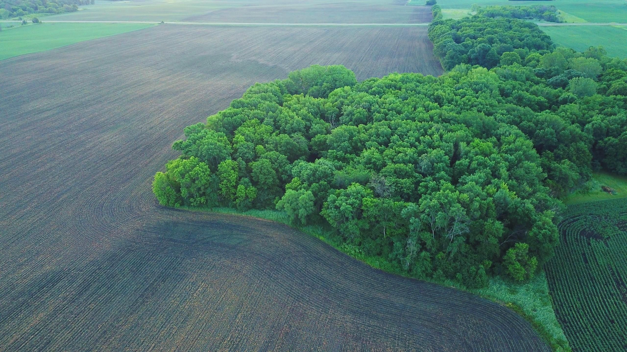 5.5 acres in Wright County, Minnesota