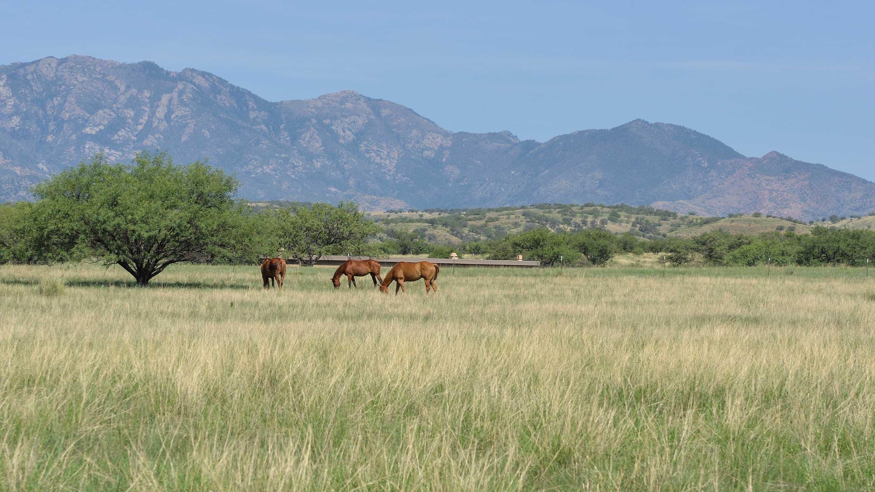 20,682 acres in Sonoita, AZ, 85637