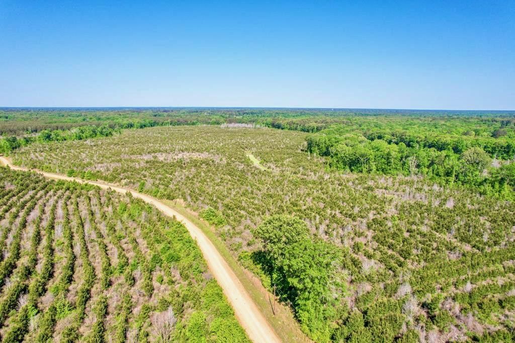 50 acres in Morehouse Parish, Louisiana
