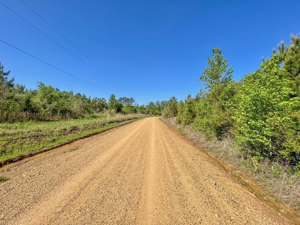 33 acres in Morehouse Parish, Louisiana