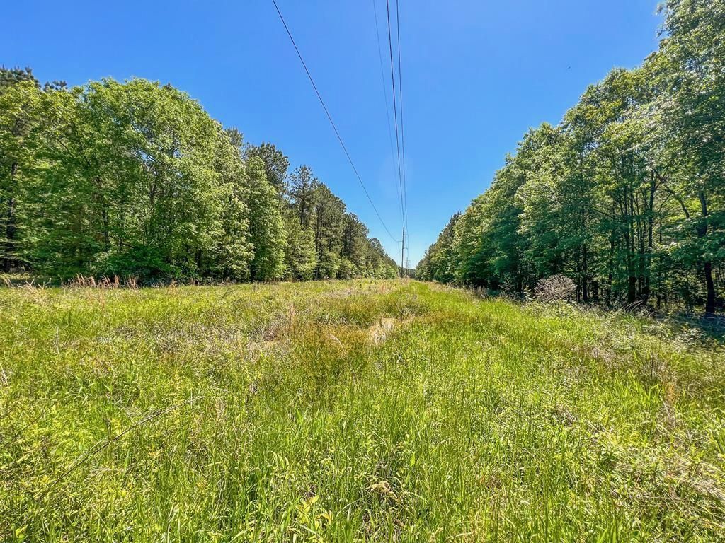 185 acres in Morehouse Parish, Louisiana