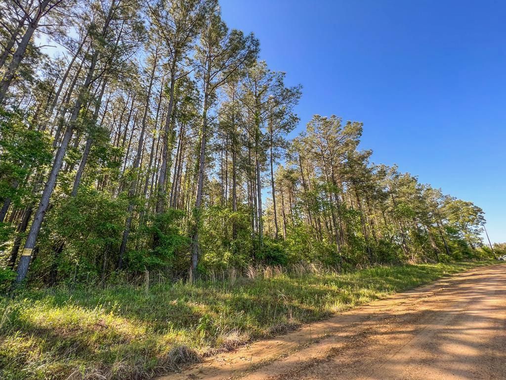 68 acres in Morehouse Parish, Louisiana