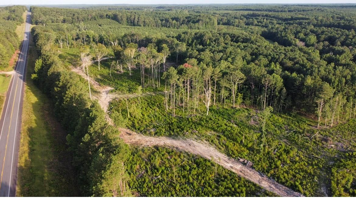 75.3 acres in Claiborne Parish, Louisiana