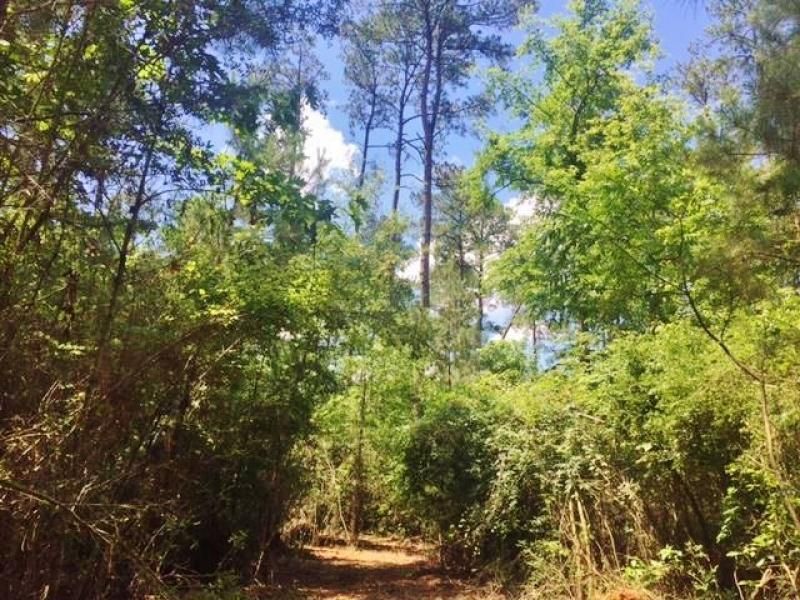 20 acres in Pike County, Mississippi