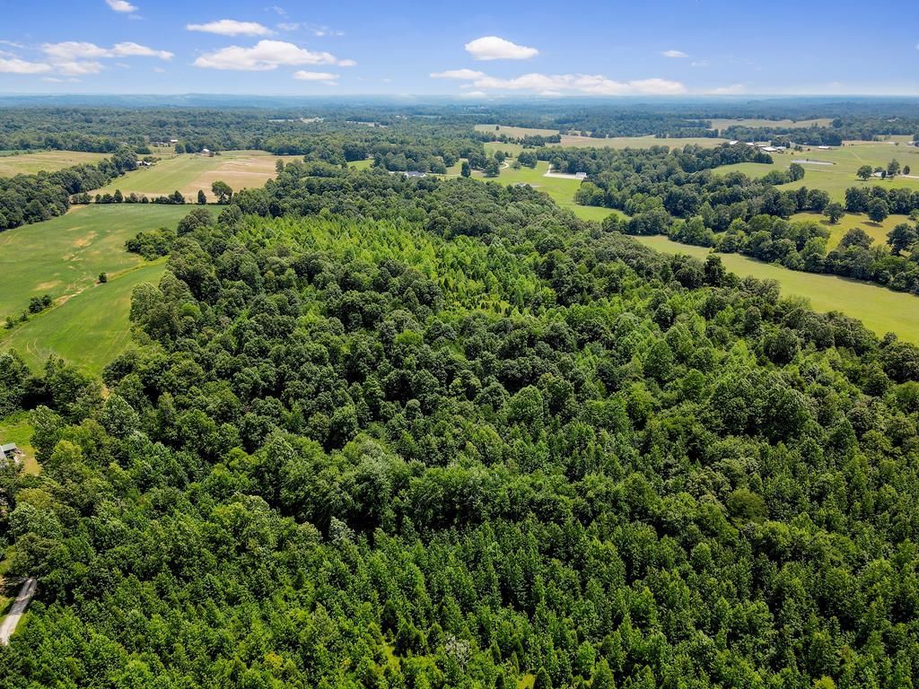 48 acres in Ohio County, Kentucky