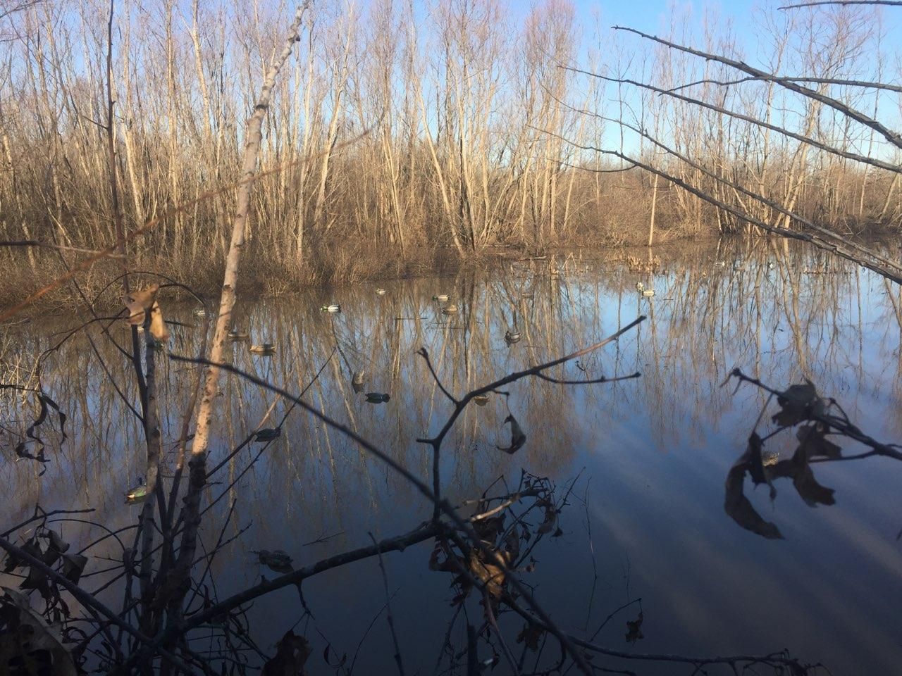 149.6 acres in Tunica County, Mississippi