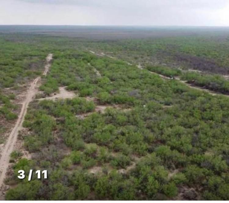 27.96 acres in Zapata, TX, 78076 MLS 20222489