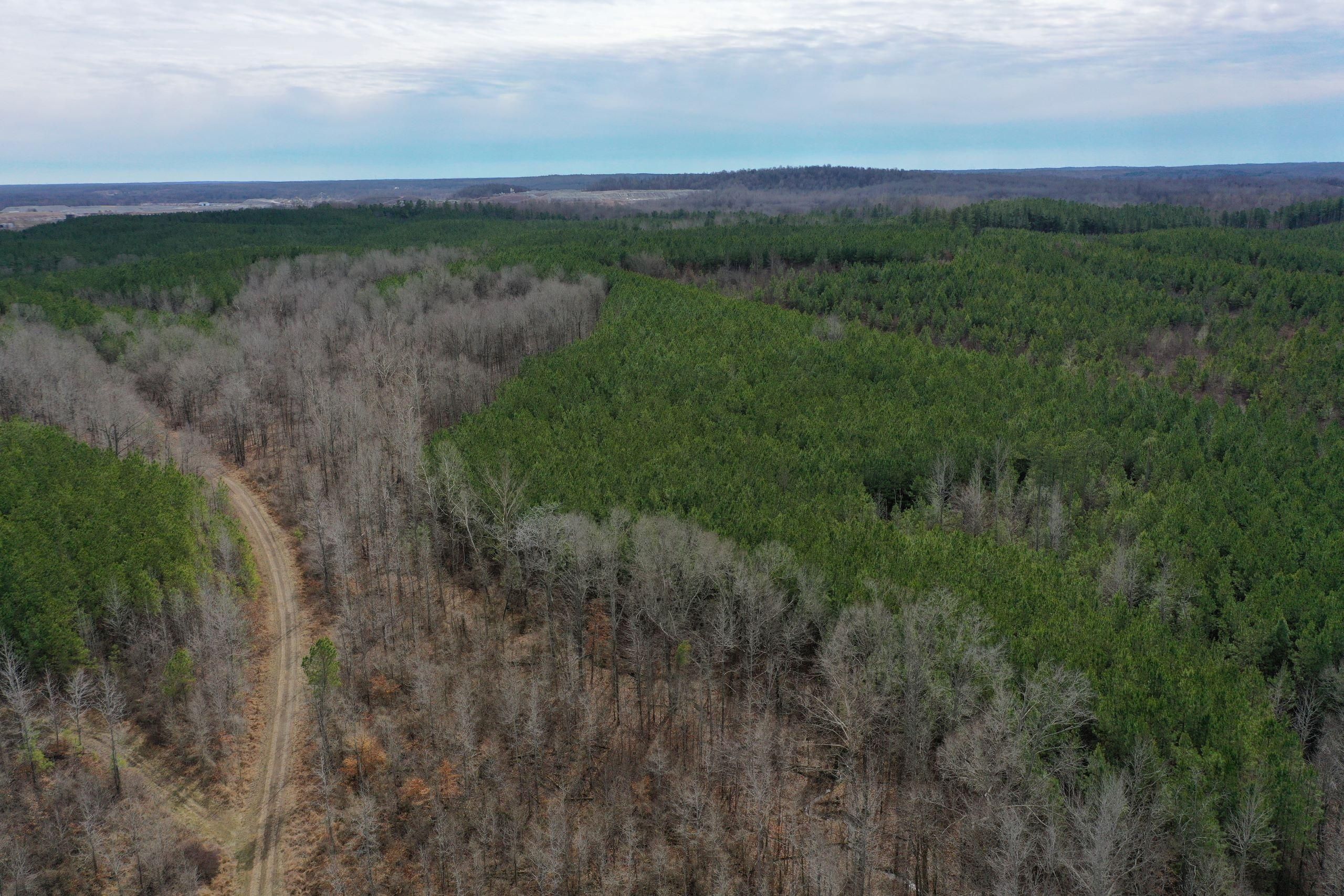 Cobb Road, Lot WP0001, Burna, KY 42028