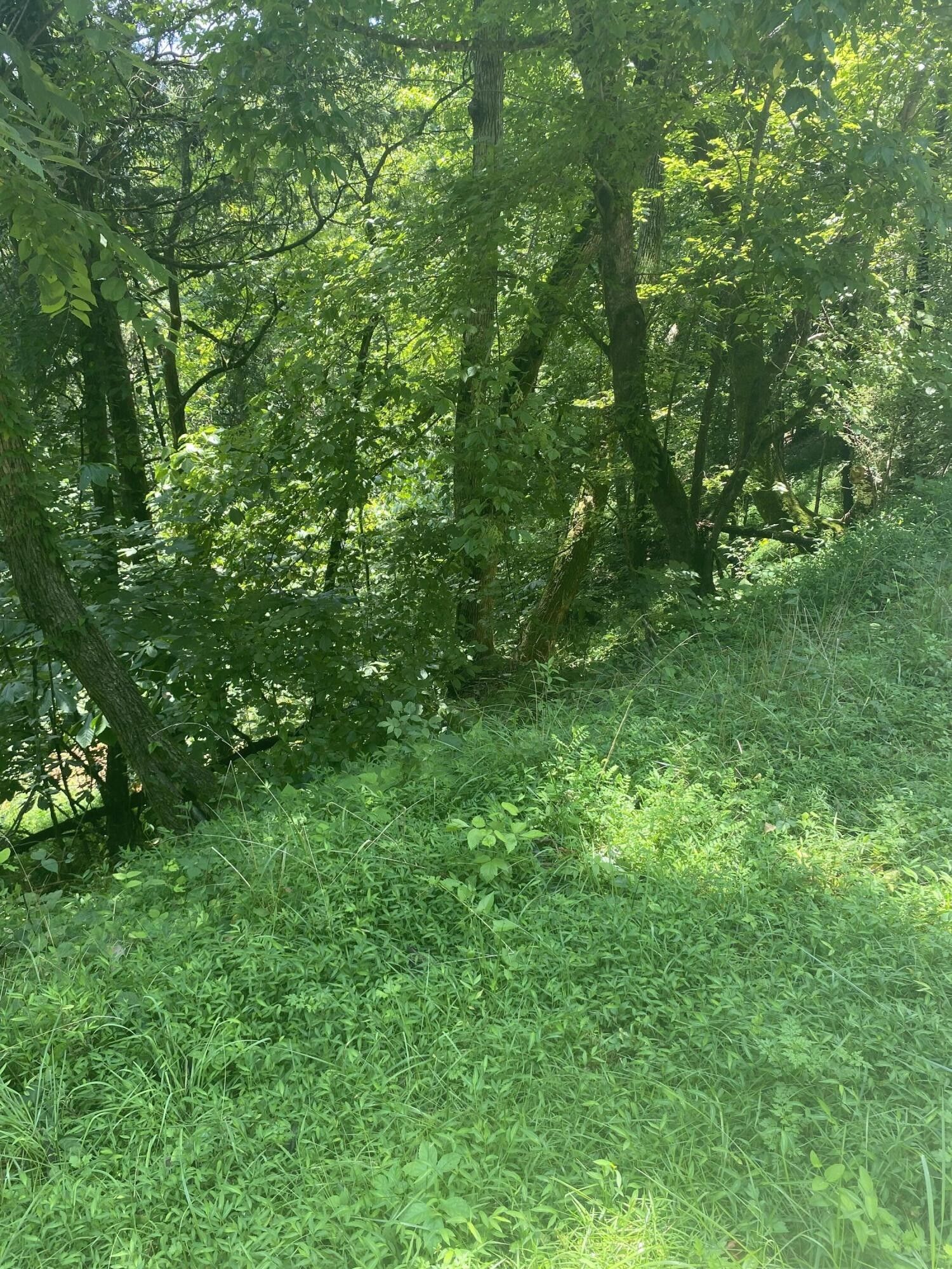 7.8 acres in Sullivan County, Tennessee