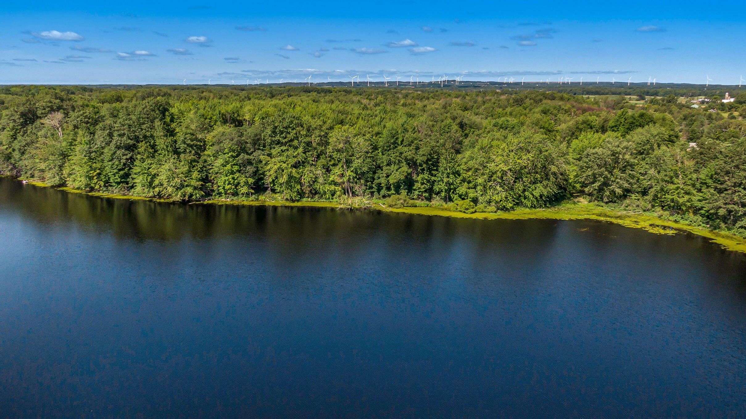 40 acres in Mason County, Michigan