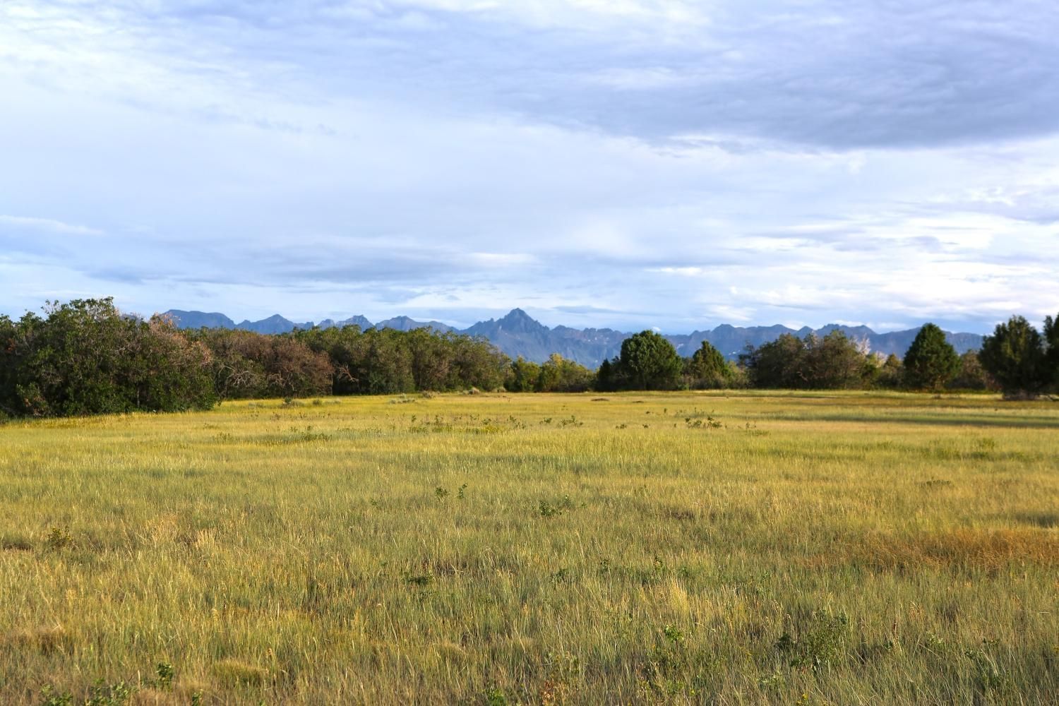 528 acres in Ouray County, Colorado