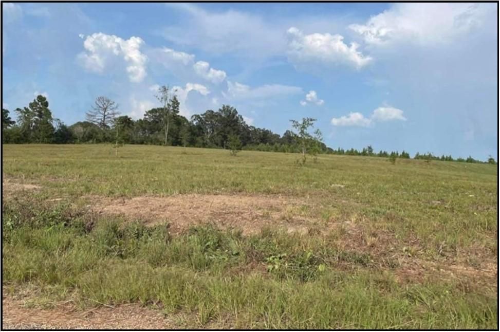 5 acres in Walthall County, Mississippi