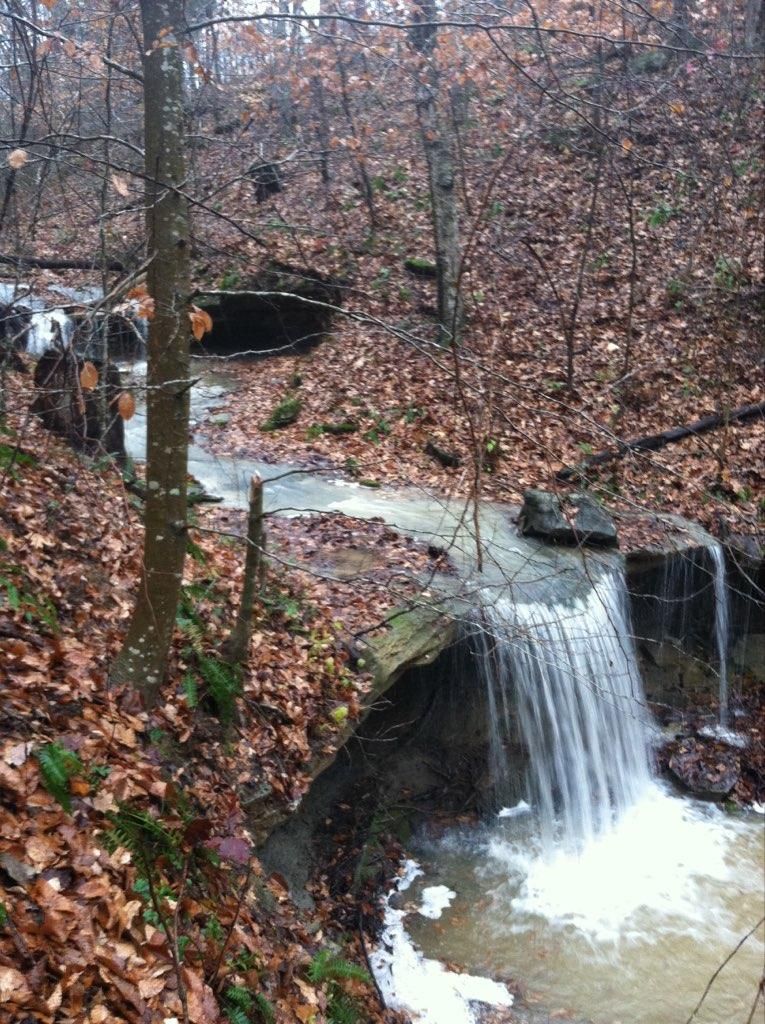 37 acres in Metcalfe County, Kentucky