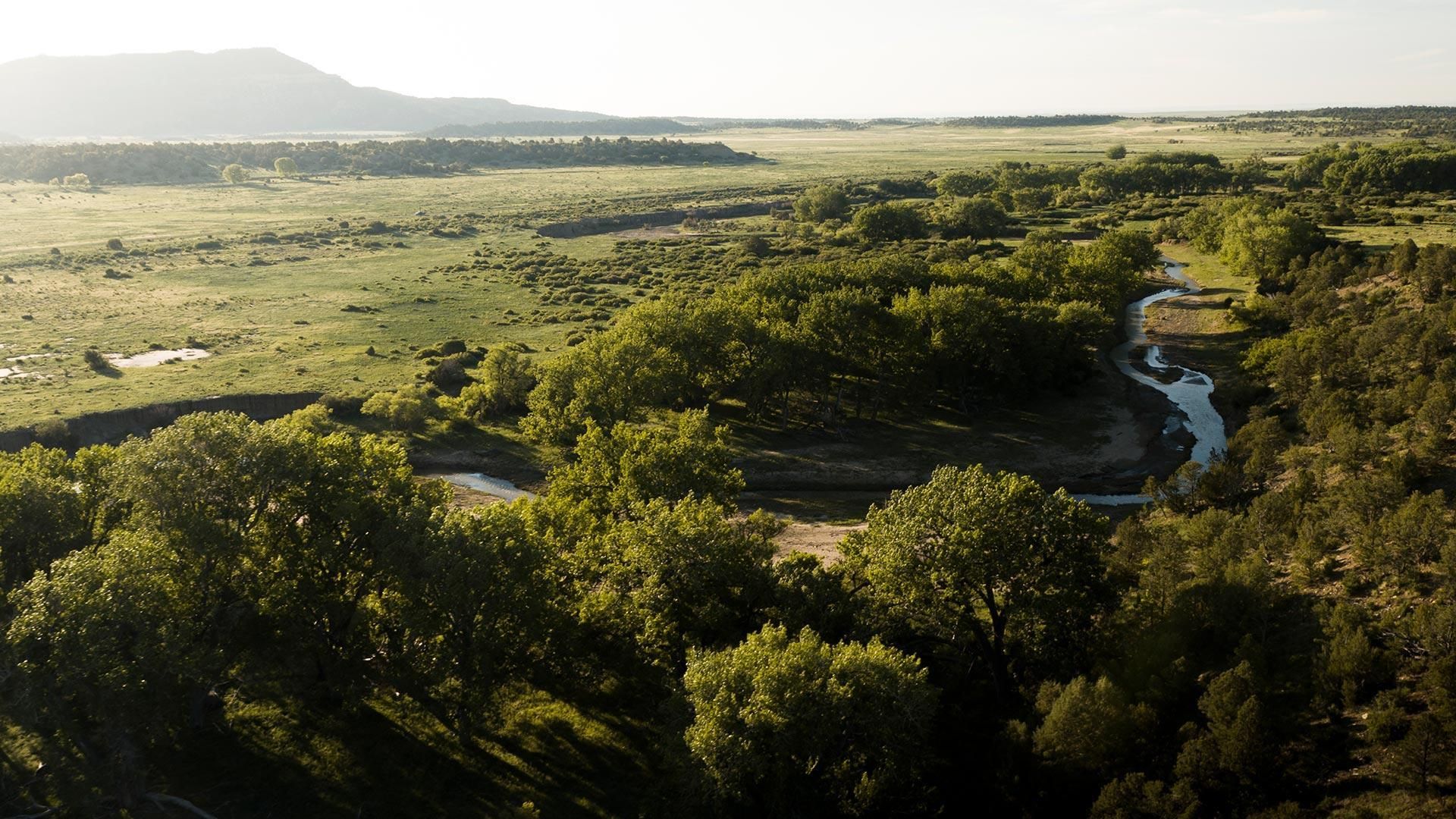 50,039 acres in Cimarron, NM, 87714