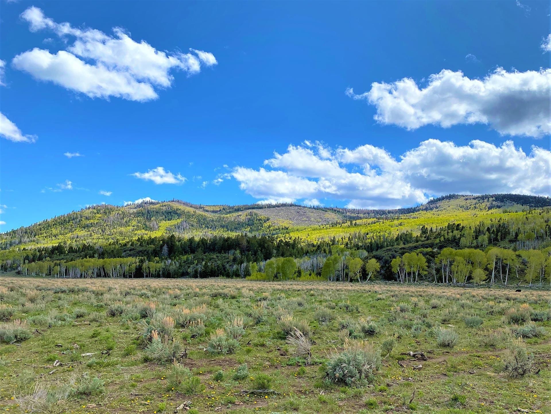 7,942 acres in Sevier County, Utah