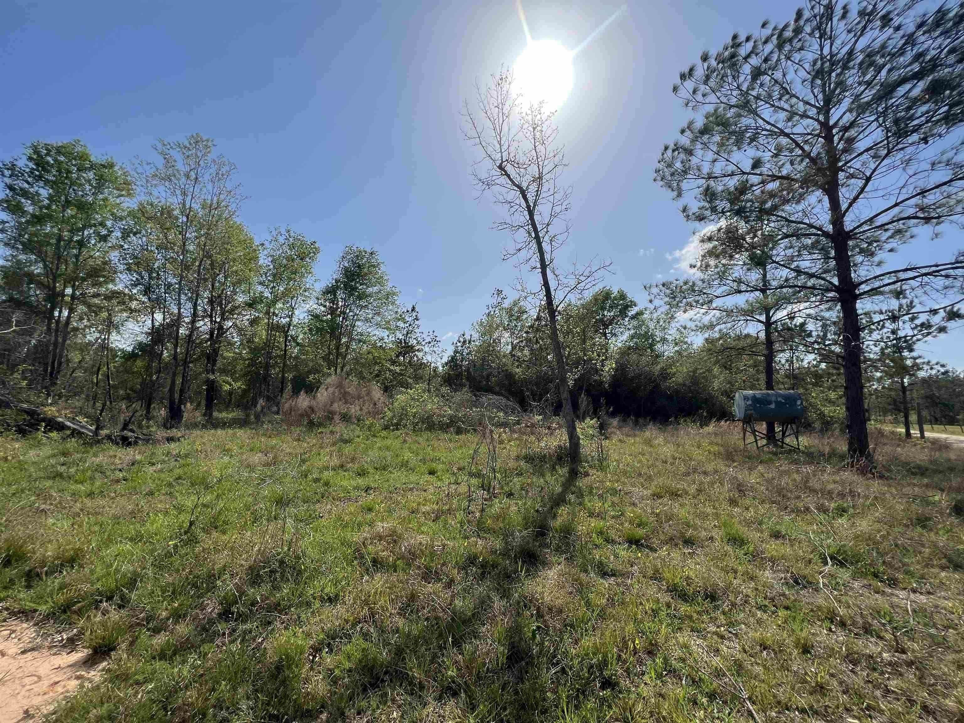 100 acres in Newton County, Texas