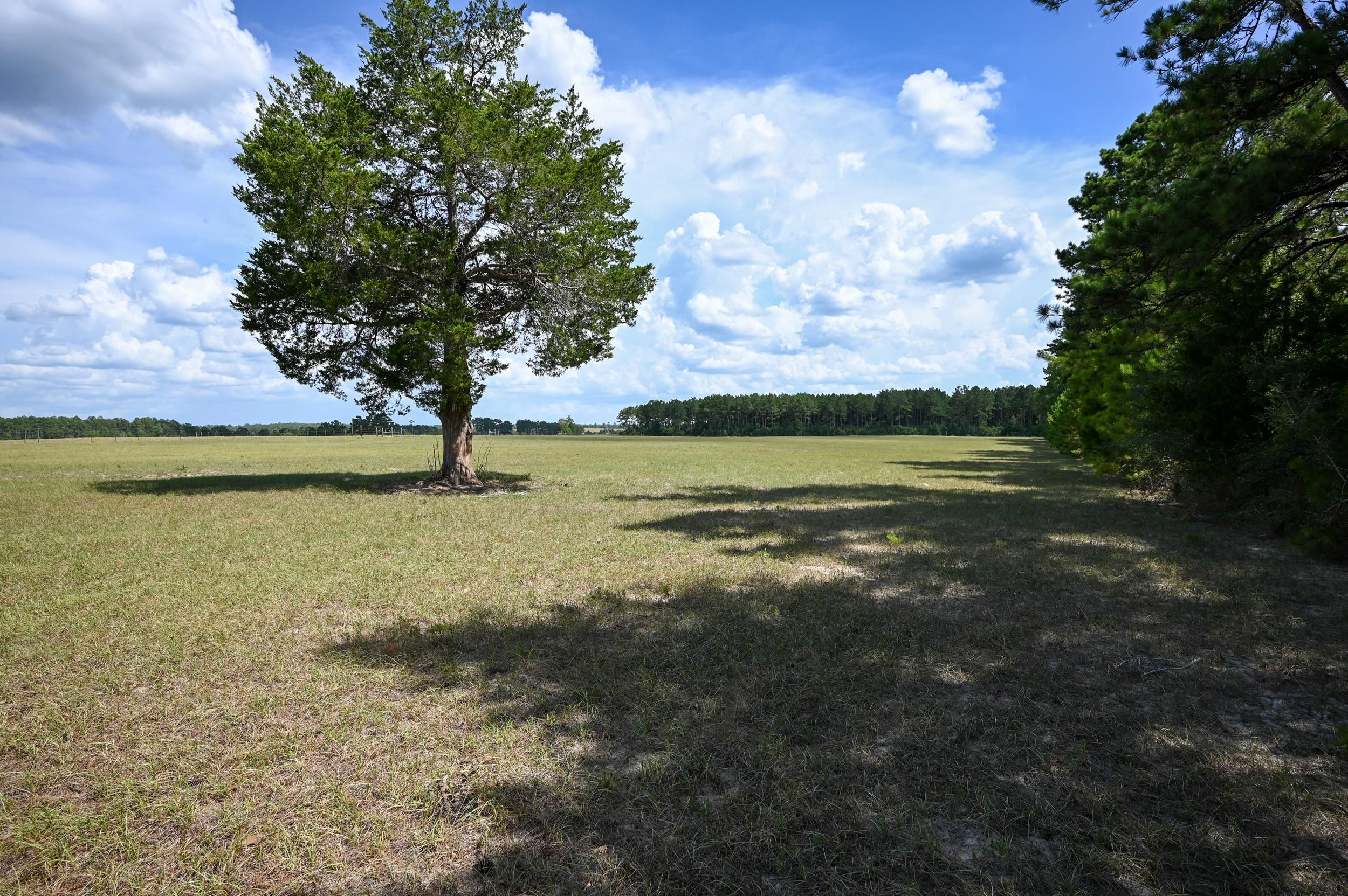 17 acres in Tyler County, Texas