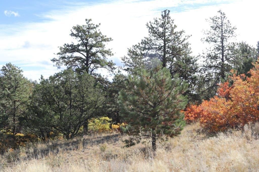 186 acres in Fremont County, Colorado