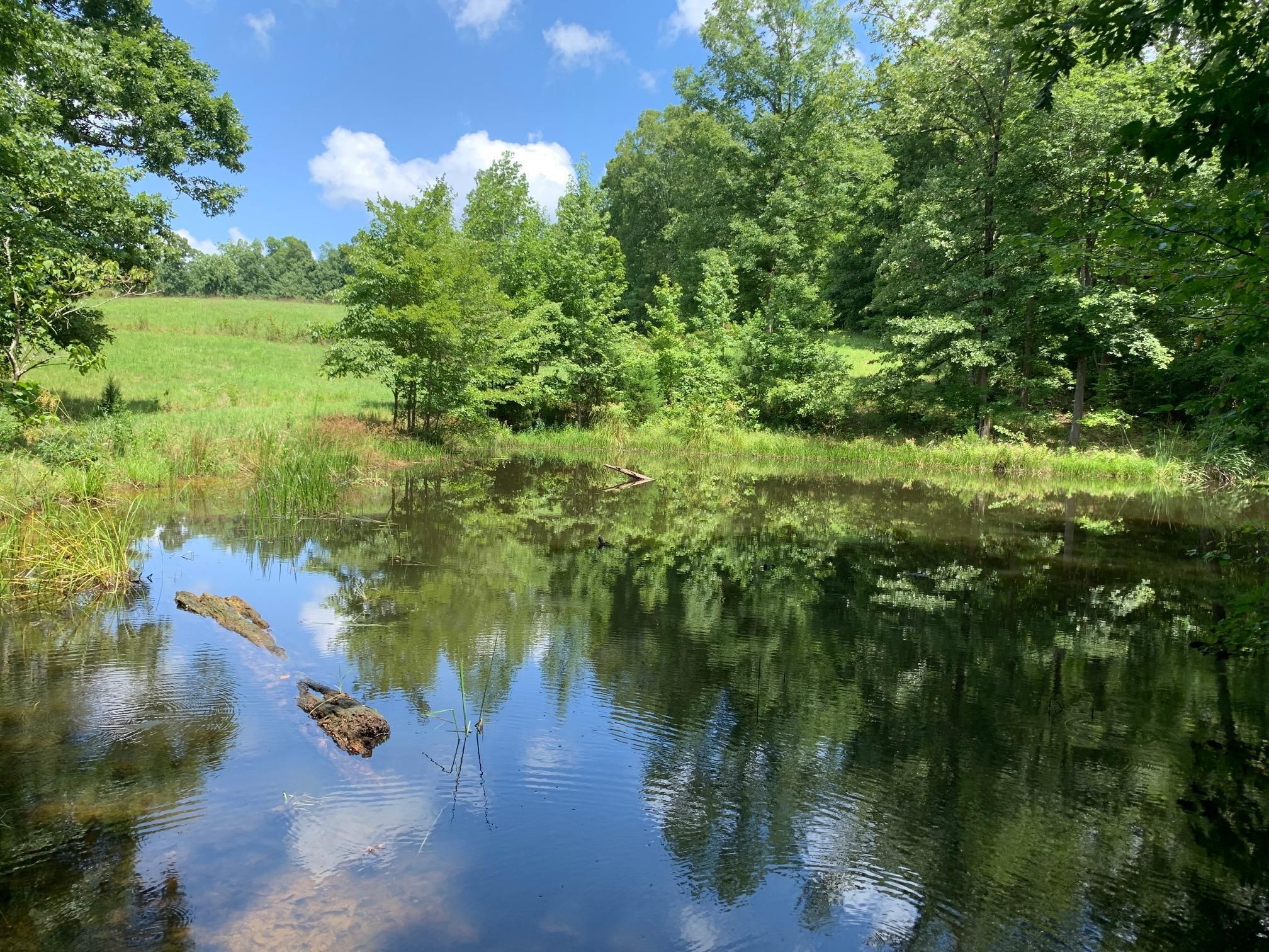 90 acres in Giles County, Tennessee