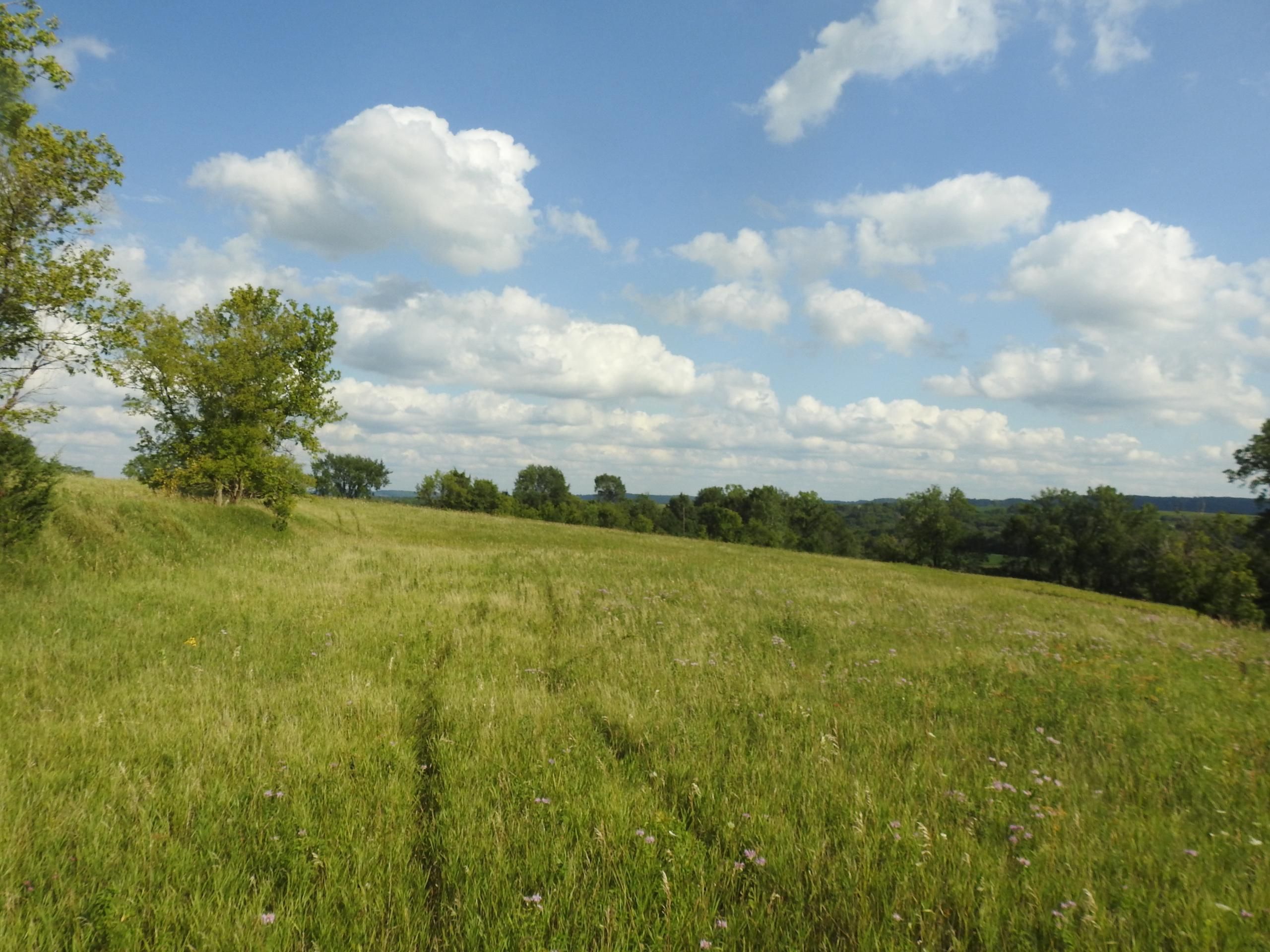 119.38 acres in Clayton County, Iowa
