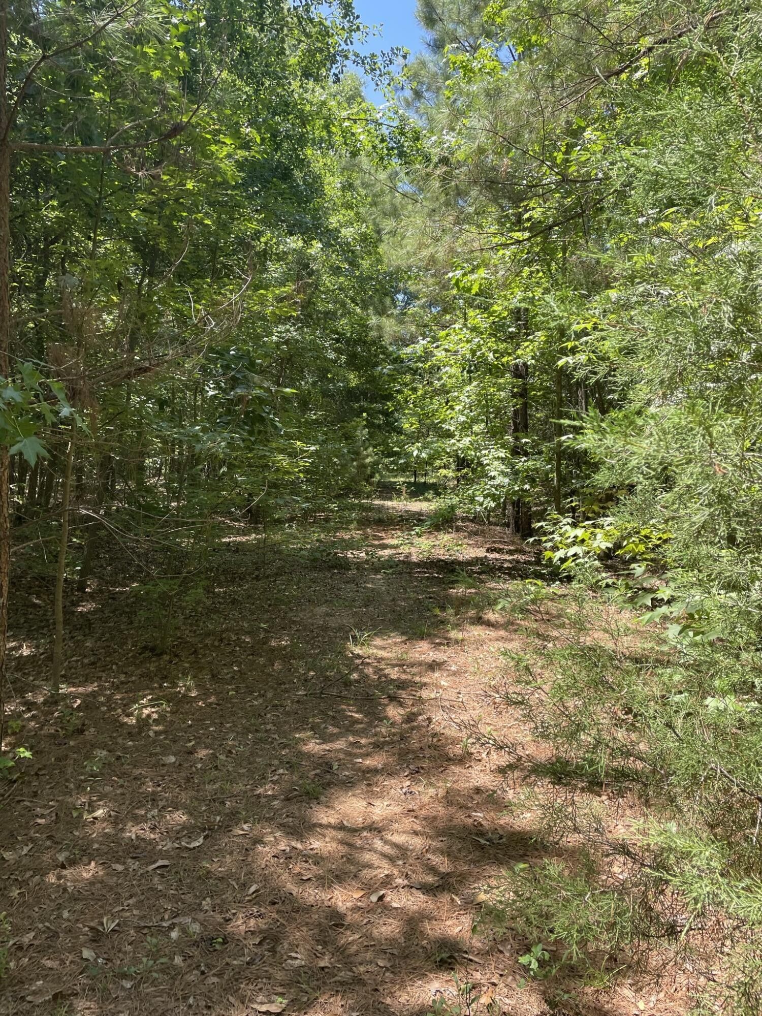 11.5 acres in Barnwell County, South Carolina