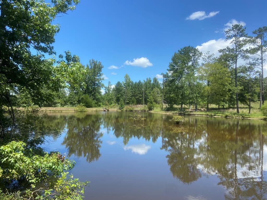 18 acres in Harris County,