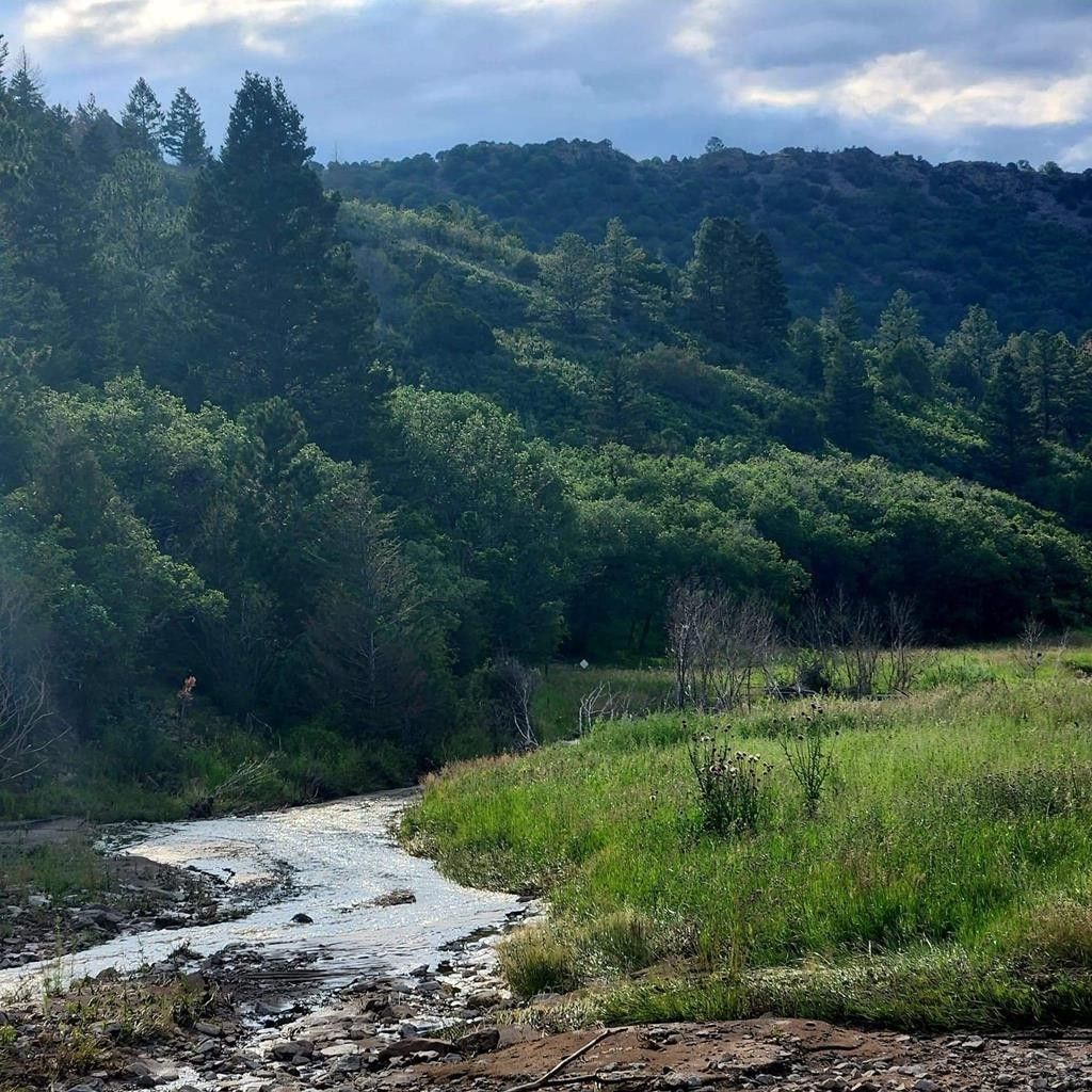 40 acres in Huerfano County, Colorado