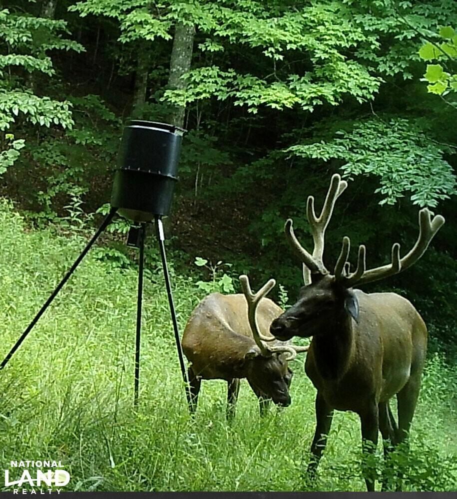 138 acres in Scott County, Tennessee