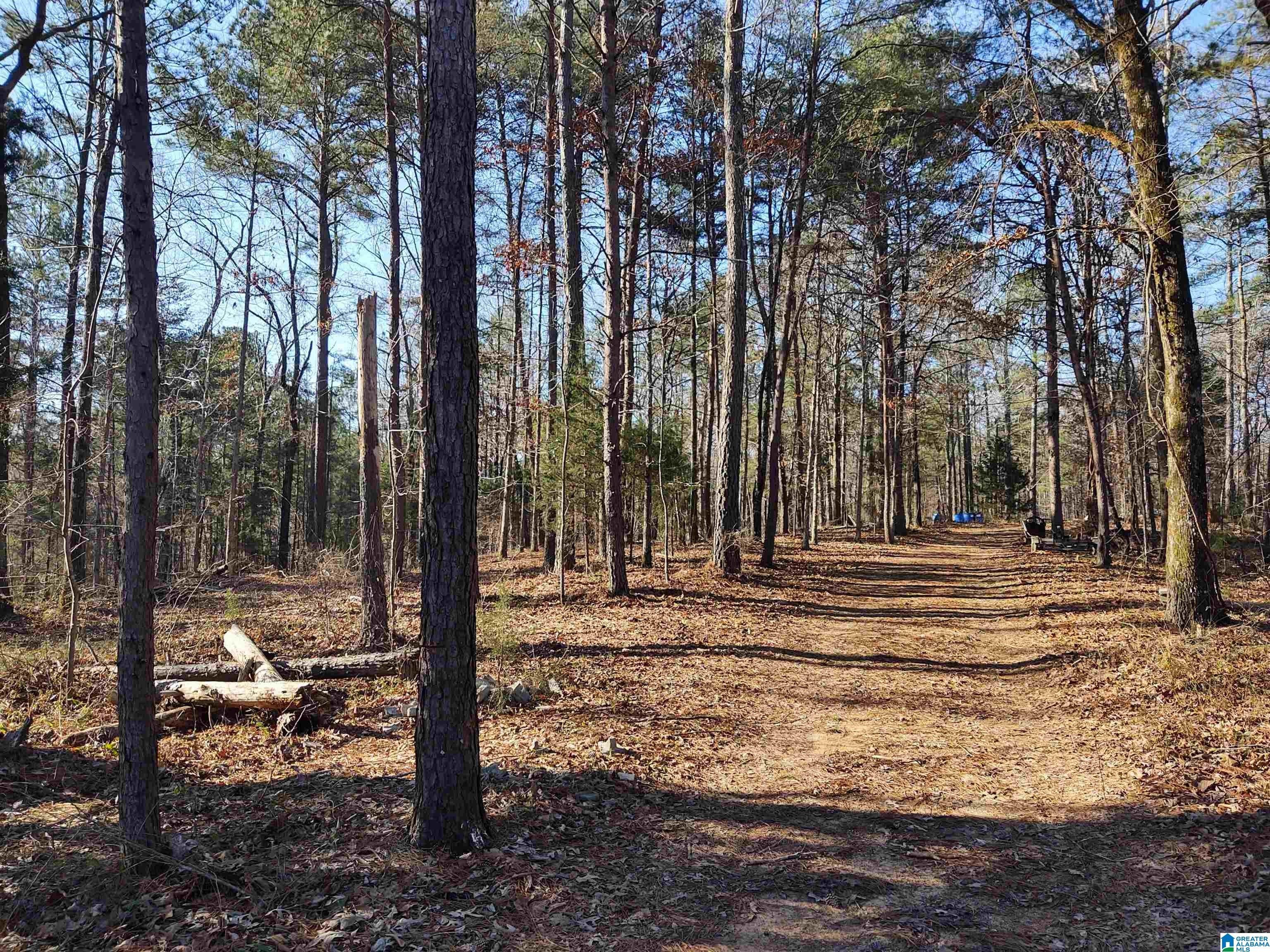 5 acres in Tuscaloosa County, Alabama