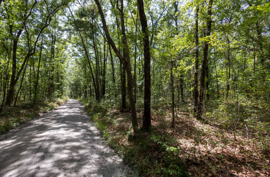 36 acres in Glynn County,