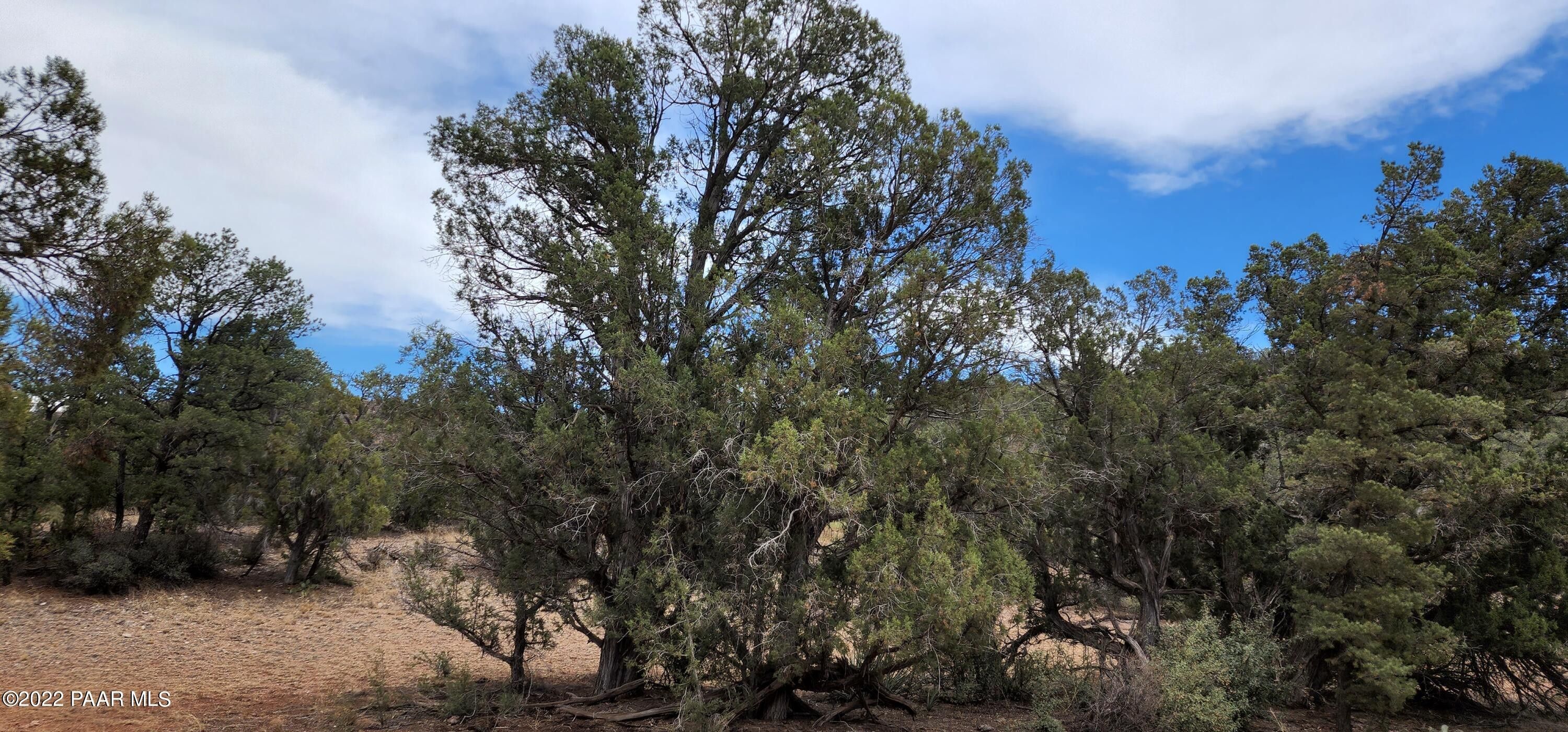 40.01 acres in Yavapai County, Arizona