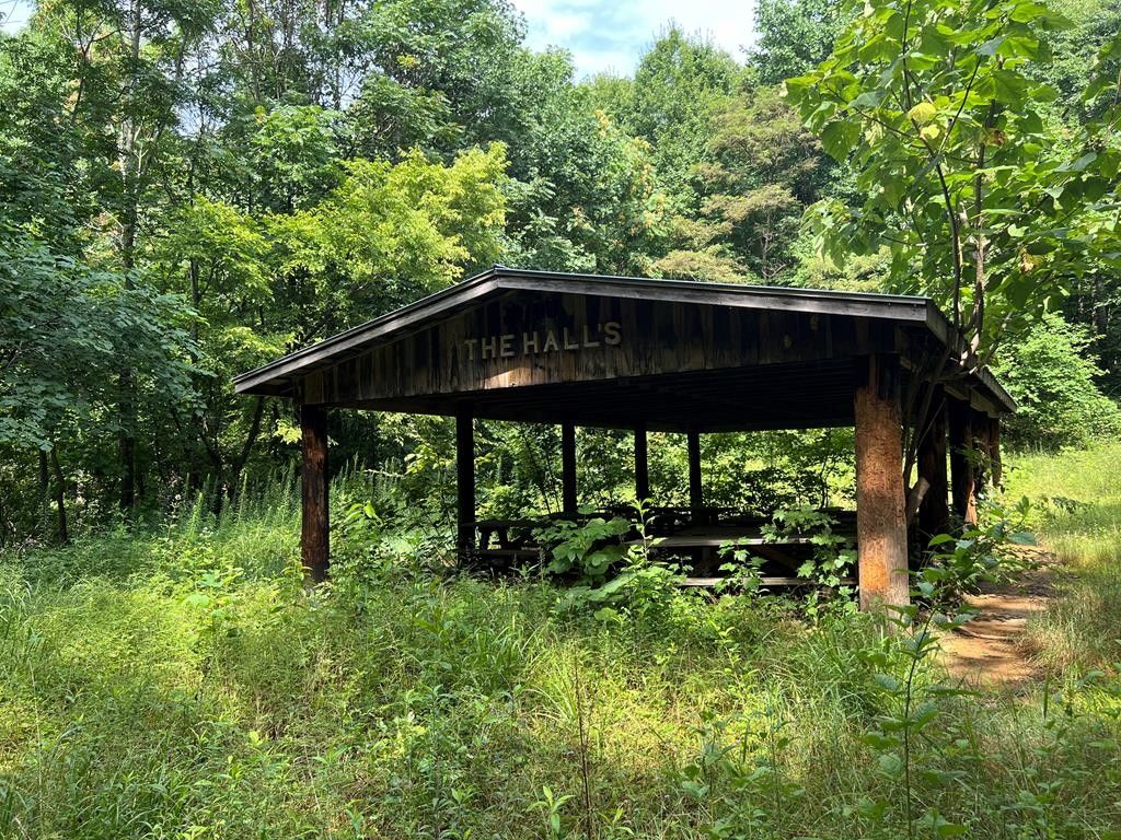 100 acres in Cocke County, Tennessee